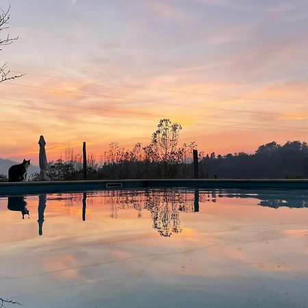 Quinta de VillaSete Alpendurada Esterno foto
