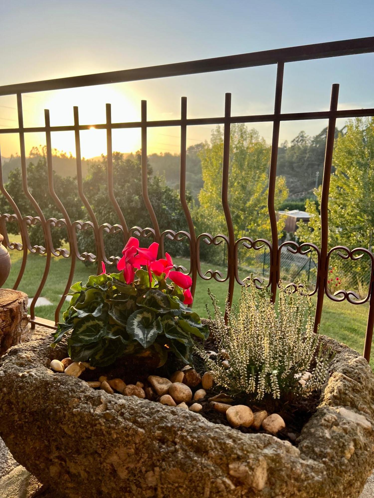 Quinta de VillaSete Alpendurada Esterno foto