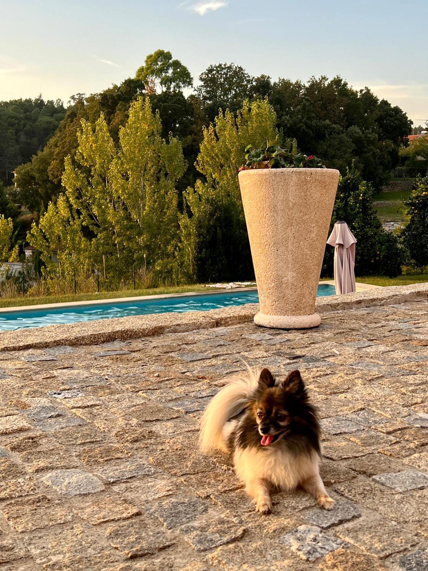 Quinta de VillaSete Alpendurada Esterno foto
