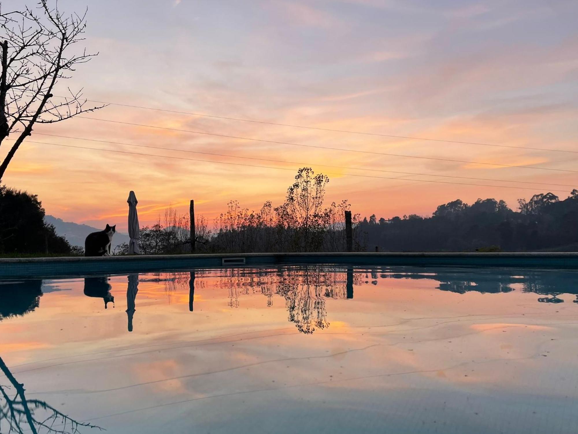 Quinta de VillaSete Alpendurada Esterno foto