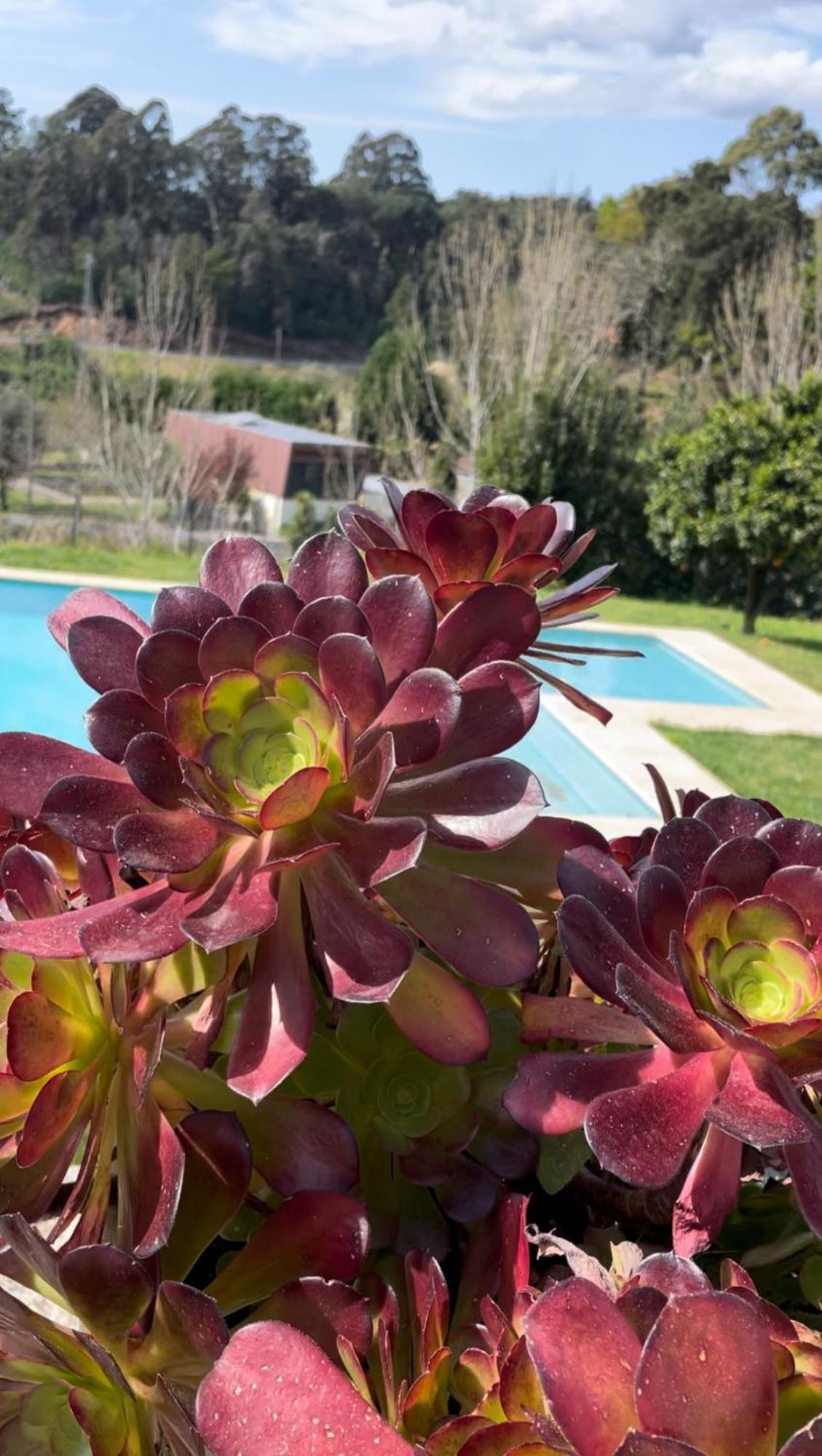Quinta de VillaSete Alpendurada Esterno foto