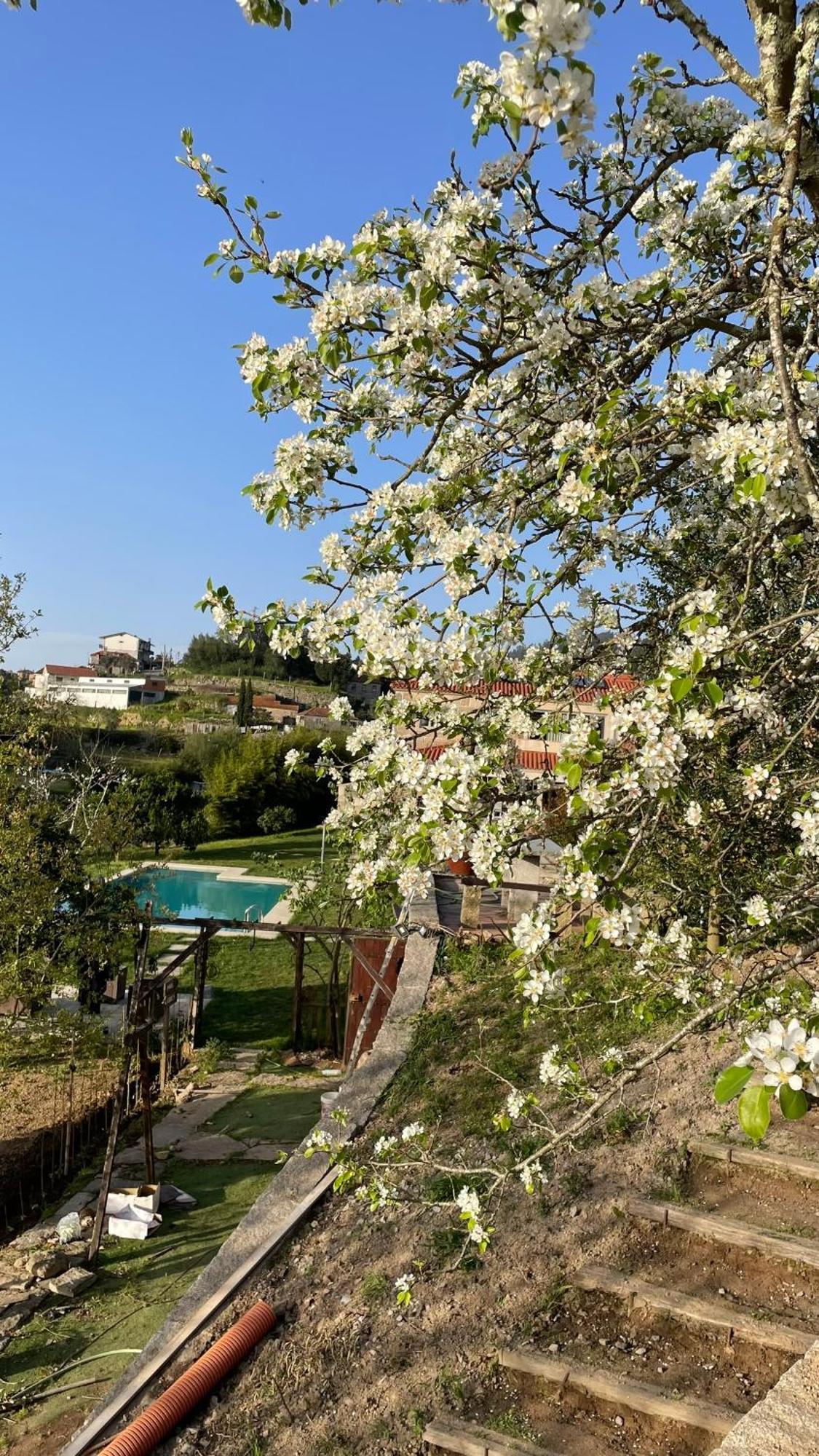 Quinta de VillaSete Alpendurada Esterno foto