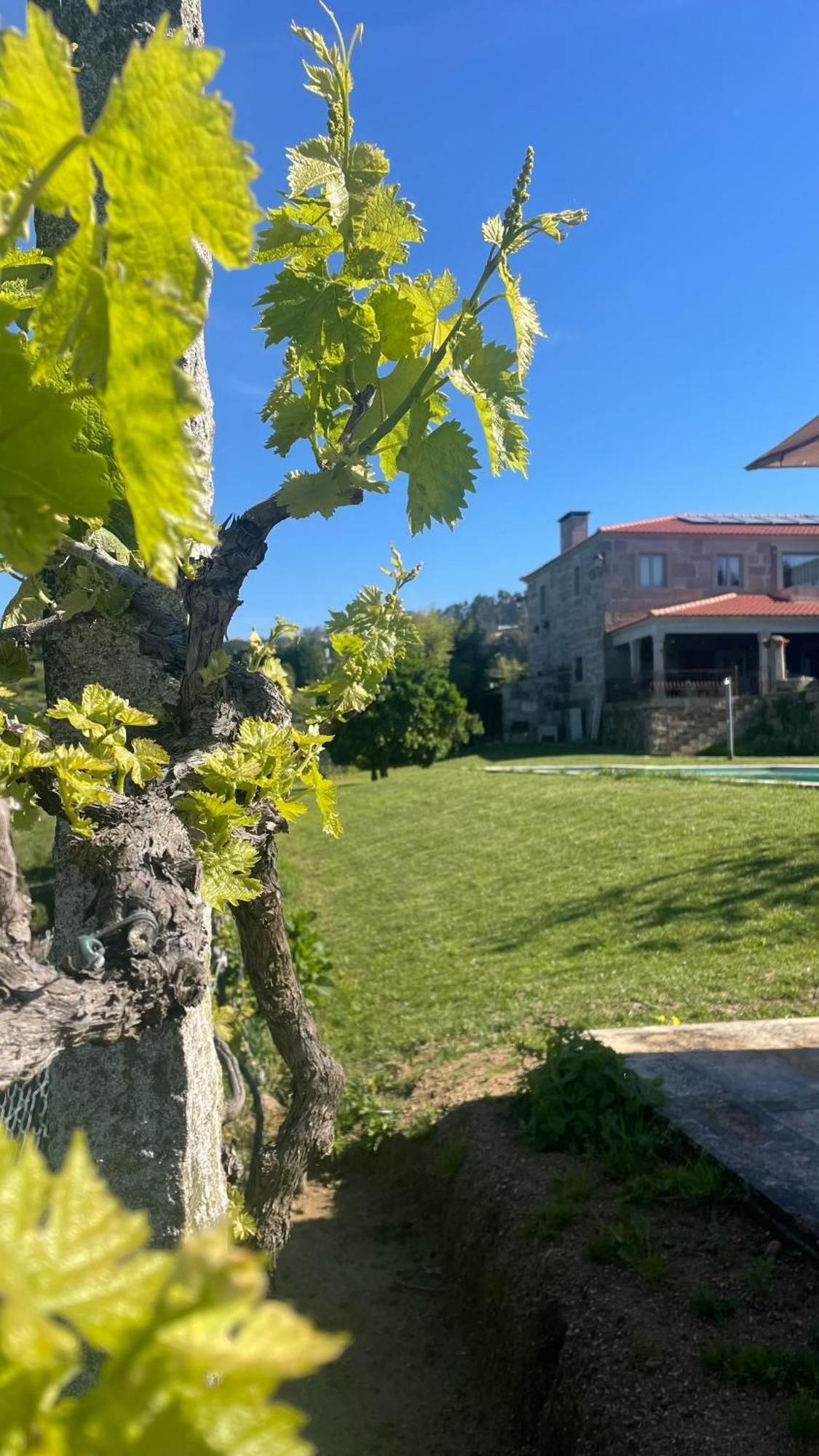 Quinta de VillaSete Alpendurada Esterno foto