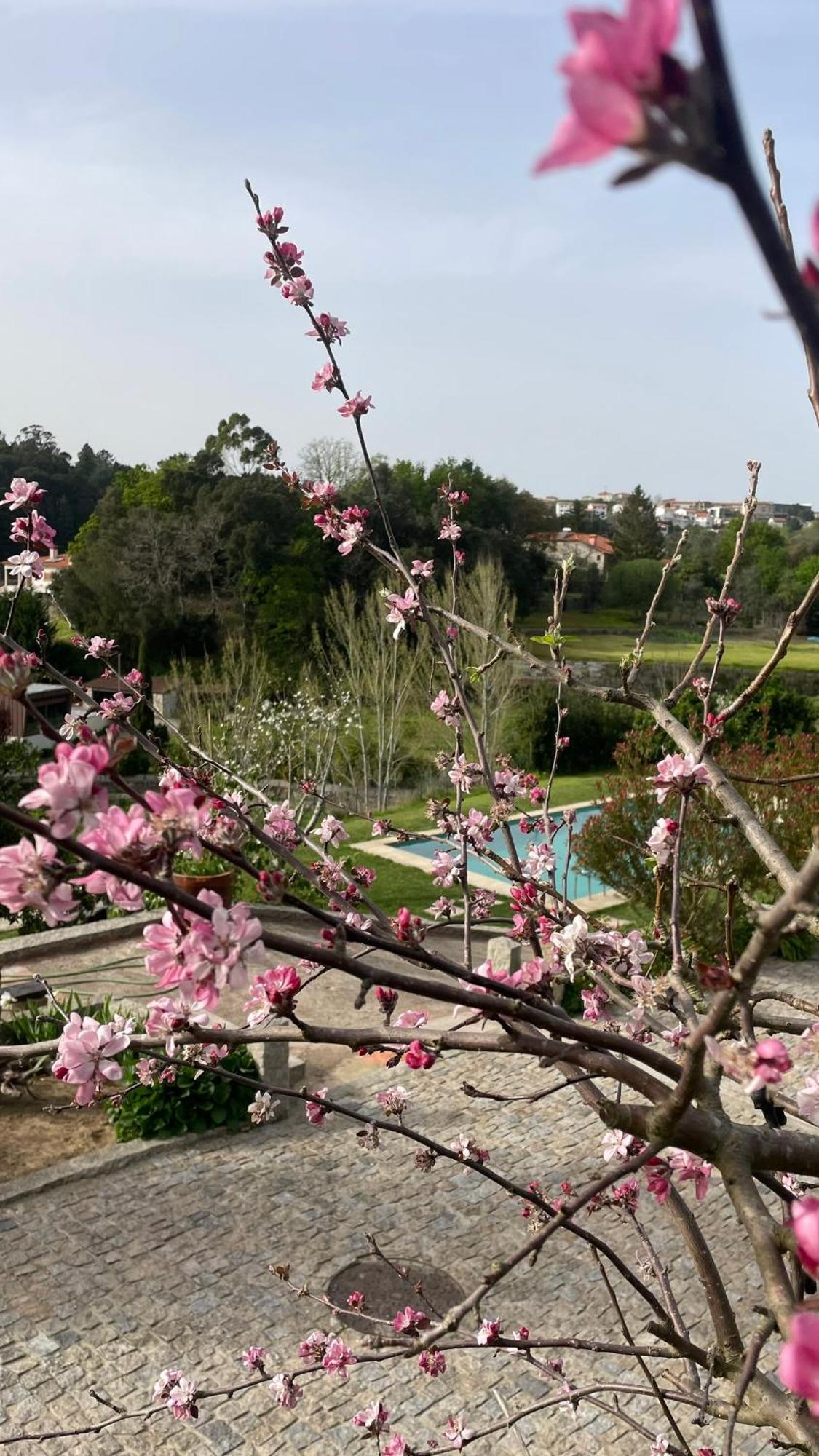 Quinta de VillaSete Alpendurada Esterno foto