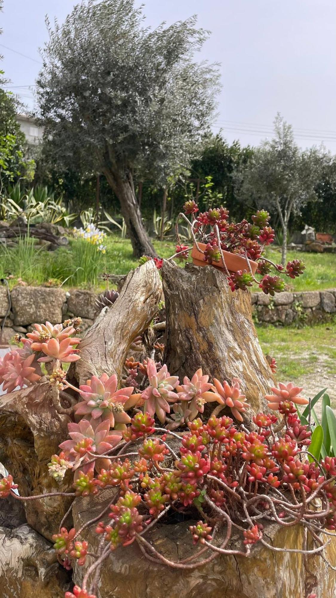 Quinta de VillaSete Alpendurada Esterno foto