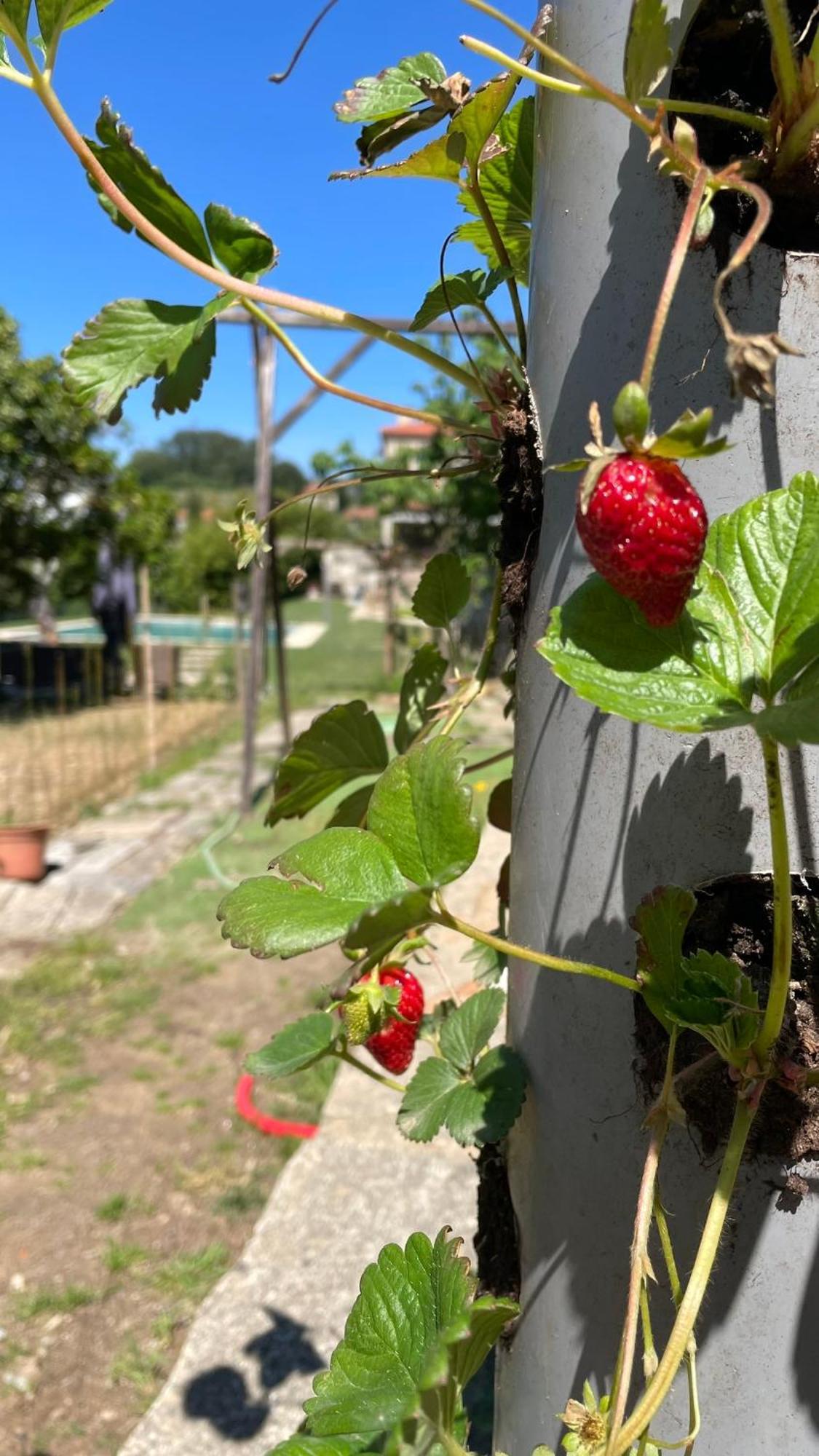 Quinta de VillaSete Alpendurada Esterno foto