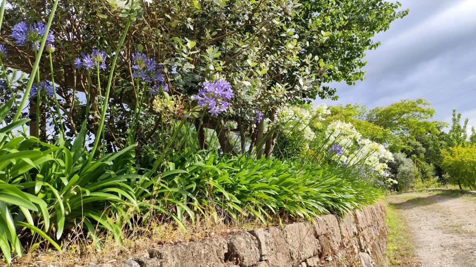 Quinta de VillaSete Alpendurada Esterno foto
